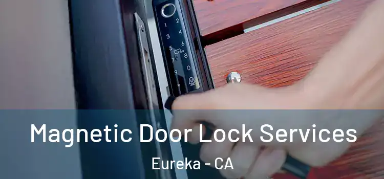 Magnetic Door Lock Services Eureka - CA